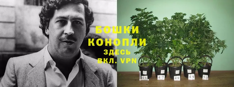 Каннабис THC 21%  Зеленокумск 